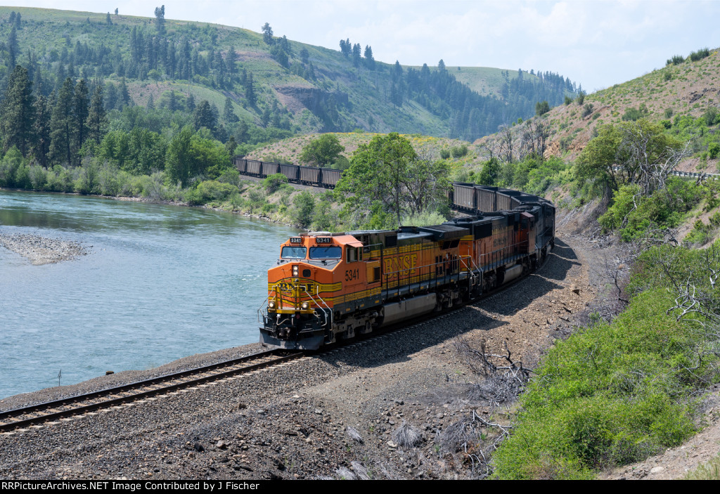 BNSF 5341